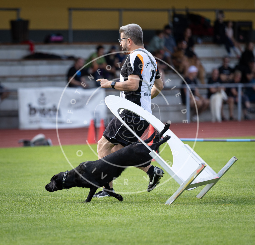 Pfotenfotografie_DV3A2948 | Hundefotografie, Tierfotograf, Pfotenfotografie, Fotoshooting Hund, Hunde Portrait, Hundesport, Hundeportraits, Heideshooting, Hunde, Sportfotograf, Hundefotograf, Turnierhundsport, THS,  - Realisiert mit Pictrs.com