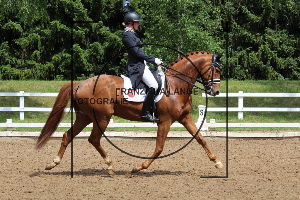 IMG_7867 | franziskalange - Realisiert mit Pictrs.com