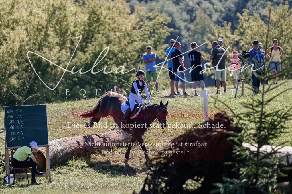 DSC_2774 | Pferde- und Turnierfotografie in Westsachsen. Pferdeportraits, Auftragszeichnungen und intuitive Kunst.