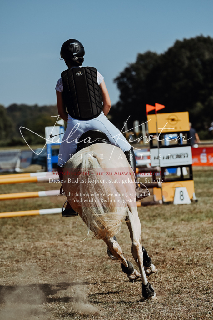 DSC_9929 | Pferde- und Turnierfotografie in Westsachsen. Pferdeportraits, Auftragszeichnungen und intuitive Kunst.