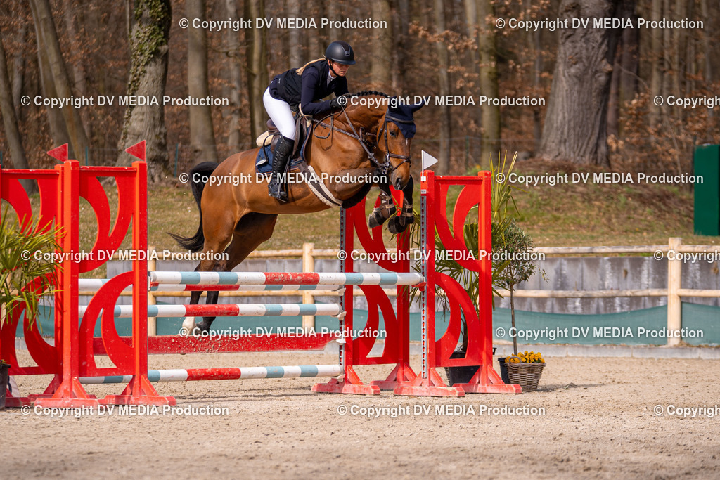 Kranichstein Tag 1-697 | dv-media-shop - Realisiert mit Pictrs.com