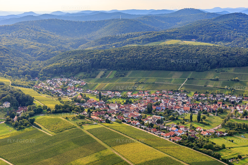 Luftbild: Ortsansicht von Westen im Ortsteil Pleisweiler in Pleisweiler-Oberhofen im Bundesland Rheinland-Pfalz in Deutschland. Foto: IMG_128415.jpg vom 21.08.2021 durch Werner Riehm/FLY-FOTO.de