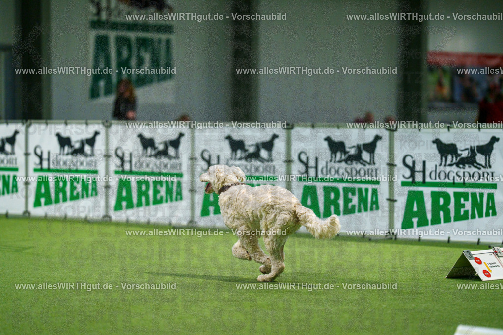 7R504264 | Professionelle Tierfotografie in Mönchengladbach von Daniel Wirth (allesWIRTHgut). Liebevolle & natürliche Bilder von Hunden & Katzen für unvergessliche Erinnerungen.