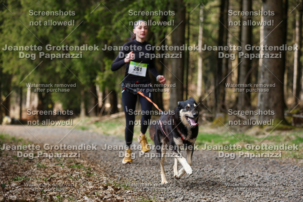 Dog Paparazzi - VCC26-369 | Dog Paparazzi Jeanette Grottendiek Fotografie & Videografie - Realisiert mit Pictrs.com
