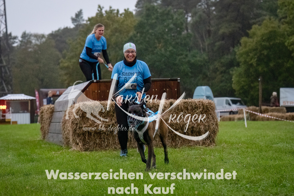 0811-_ZZ90629-Bearbeitet-Bearbeitet | kk-dogfotos