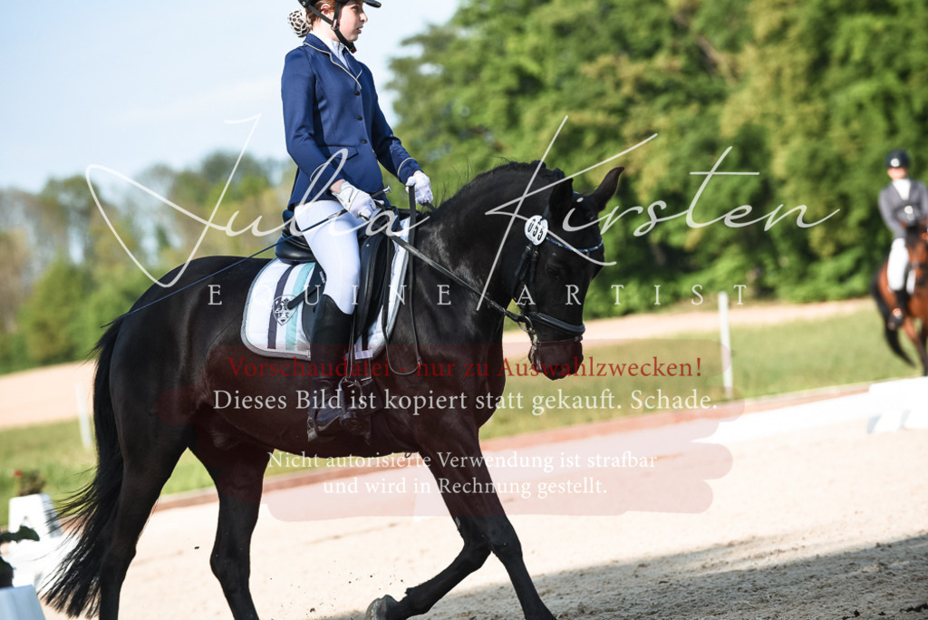 20230518_JK-Röhrsdorf-12-1018 | Pferde- und Turnierfotografie in Westsachsen. Pferdeportraits, Auftragszeichnungen und intuitive Kunst.