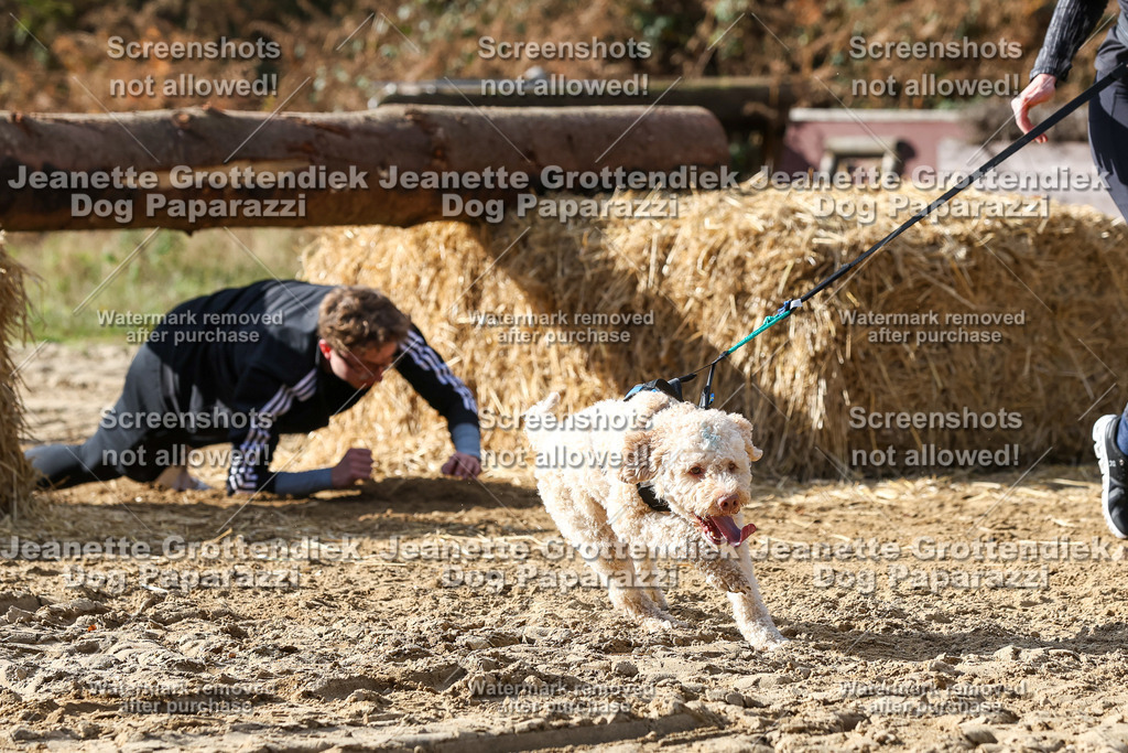 Dog Paparazzi - Strongdog 10-25-5536 | Dog Paparazzi Jeanette Grottendiek Fotografie & Videografie - Realisiert mit Pictrs.com