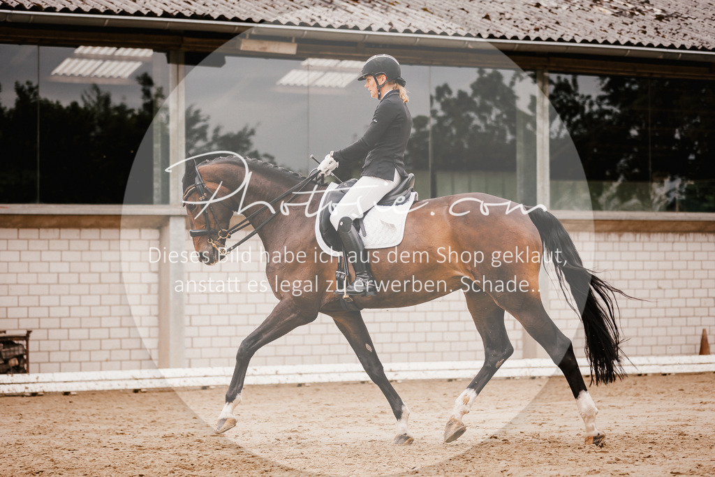 3I6A7826 | Stimmungsvolle Portraits und Reitsportfotografie im Ruhrgebiet und im Münsterland.

Pferdefotografie, Hundefotografie, Tierfotografie, Reportagen, Portraits von Tier und Mensch, Turnierfotografie in Bochum, Recklinghausen, Marl, Haltern am See, Dülmen.. - Realisiert mit Pictrs.com
