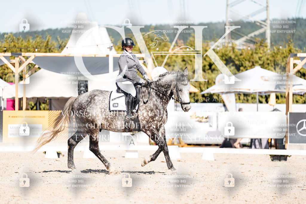 CK908340 | Turnierfotografie Pferdefotografie Trier Rheinland-Pfalz Pferdesport Reitsport Tierfotografie Sportfotografie Pferdevideo Pferdevideografie Equestrianvideography equestrianphotography  - Realisiert mit Pictrs.com