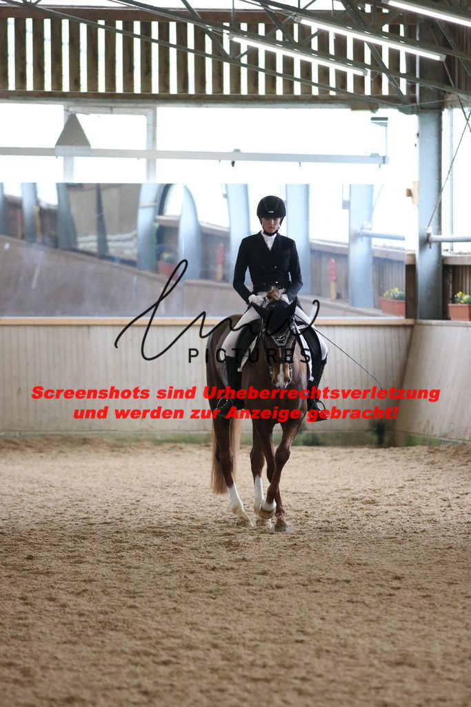 IMG_1186 | lmwpictures - Realisiert mit Pictrs.com