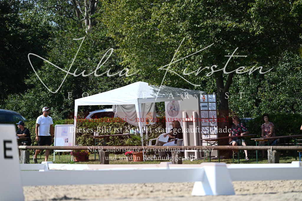 DSC_4986 | Pferde- und Turnierfotografie in Westsachsen. Pferdeportraits, Auftragszeichnungen und intuitive Kunst.