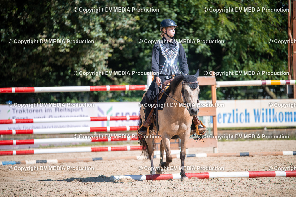 ZS1_0883 | dv-media-shop - Realisiert mit Pictrs.com