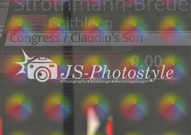 20250907_08_SPpfrg_Kl.A_ Clear-Round_ 90cm-10 | JS-Photostyle - Sport-/Portrait- & Eventfotografie