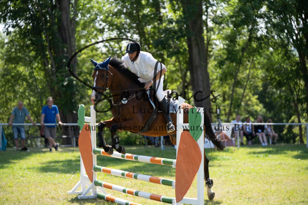 A7V06417 | Pferdefotograf