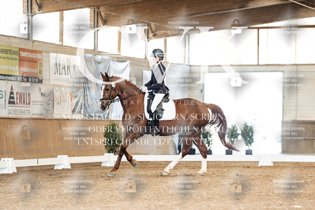 CK900962 | Turnierfotografie Pferdefotografie Trier Rheinland-Pfalz Pferdesport Reitsport Tierfotografie Sportfotografie Pferdevideo Pferdevideografie Equestrianvideography equestrianphotography  - Realisiert mit Pictrs.com