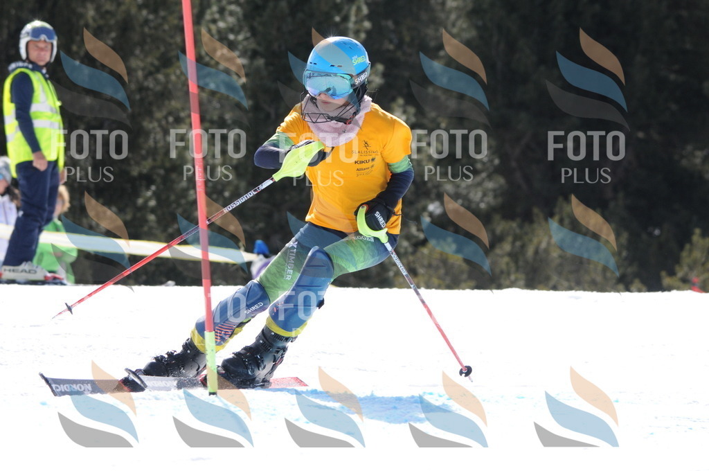 C9163 | holidayphoto