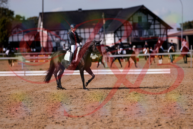 2026_10_03_Siefer-Hof_121406_Z81_15393680 | Professionelle Reitsport-, Turnier- und Eventfotografie von Robert Broda. Galerien mit ausgewählten und bearbeiteten Bildern direkt online ansehen und bestellen.
