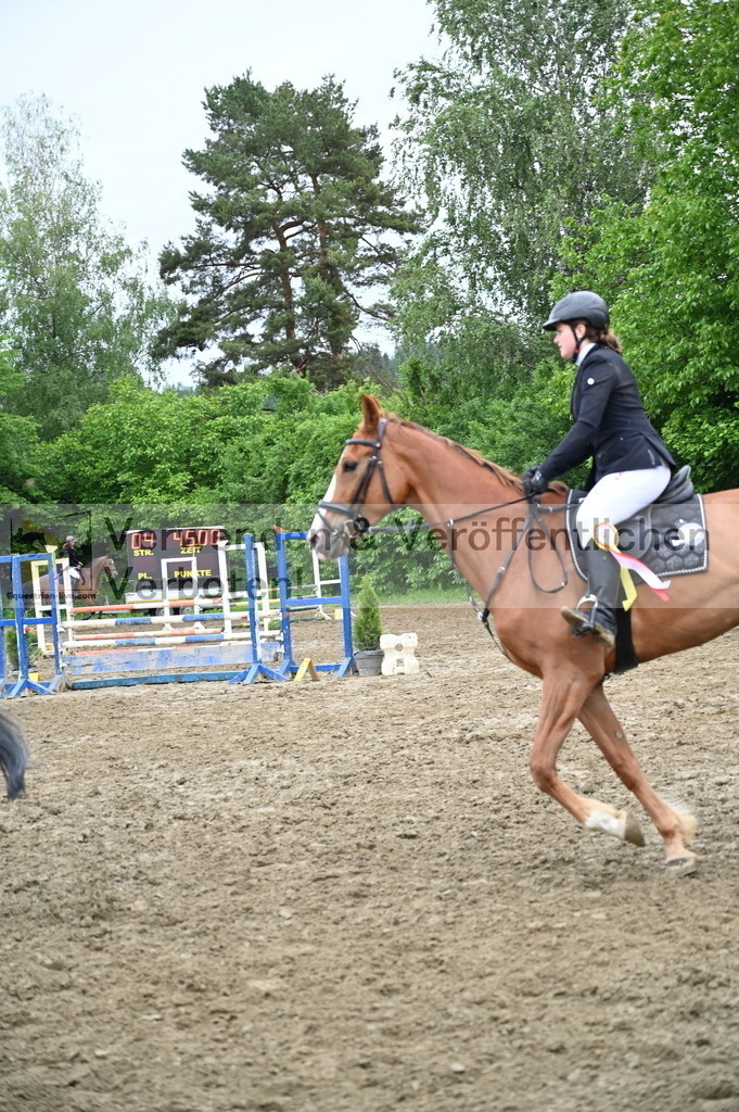 DSC_2215 | equestrian-live-com