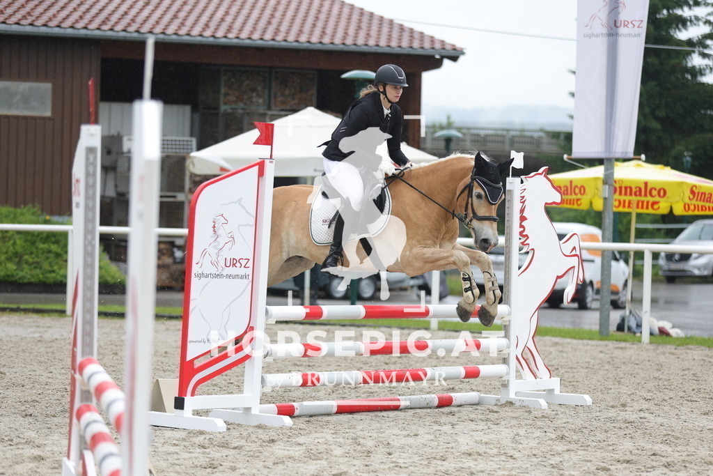 0P6A8162 | Willkommen bei Brunnmayr - Design & Fotografie – Ihrem Spezialisten für Reitturniere und Pferdeveranstaltungen in Oberösterreich, Salzburg und Bayern! Seit über 17 Jahren sind wir leidenschaftlich dabei.
