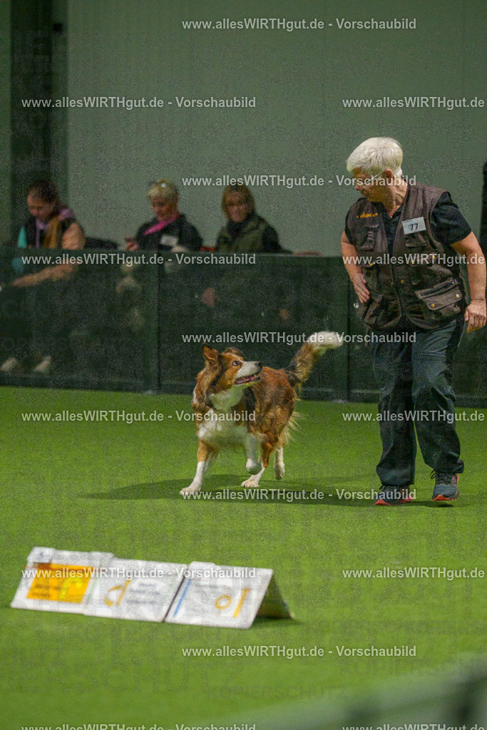 7R508768 | Professionelle Tierfotografie in Mönchengladbach von Daniel Wirth (allesWIRTHgut). Liebevolle & natürliche Bilder von Hunden & Katzen für unvergessliche Erinnerungen.