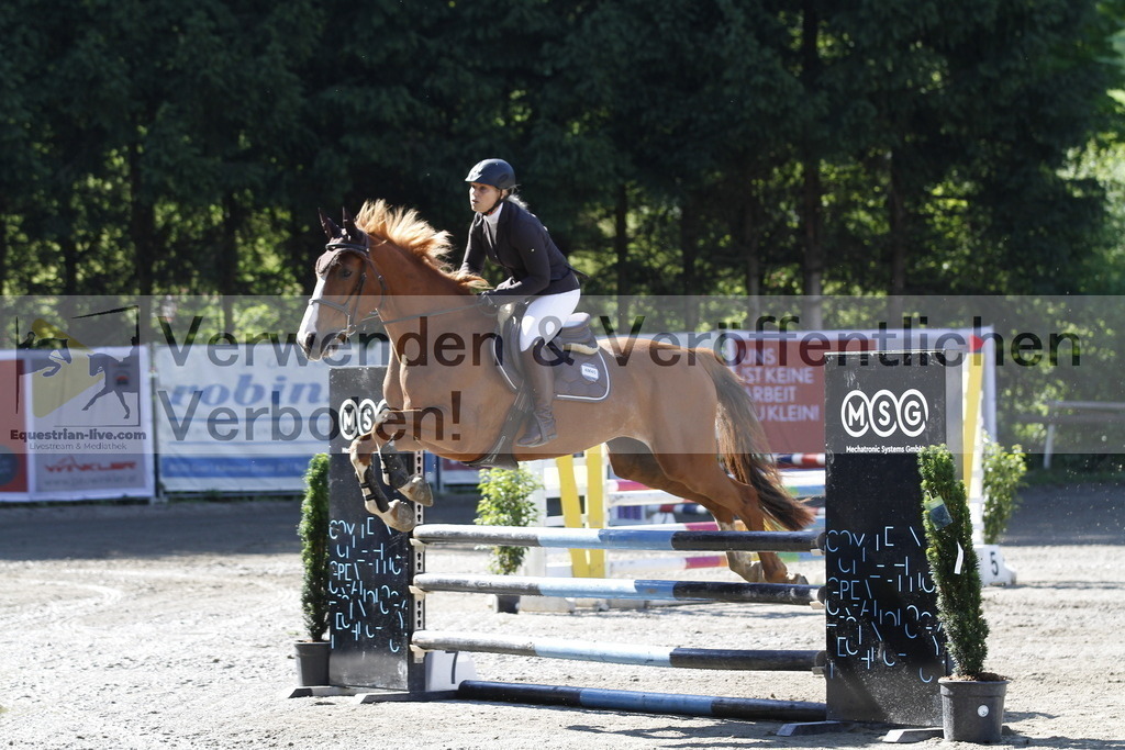 _MG_1367 | equestrian-live-com