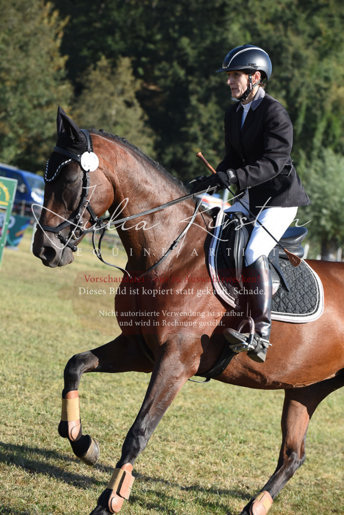 DSC_5223 | Pferde- und Turnierfotografie in Westsachsen. Pferdeportraits, Auftragszeichnungen und intuitive Kunst.