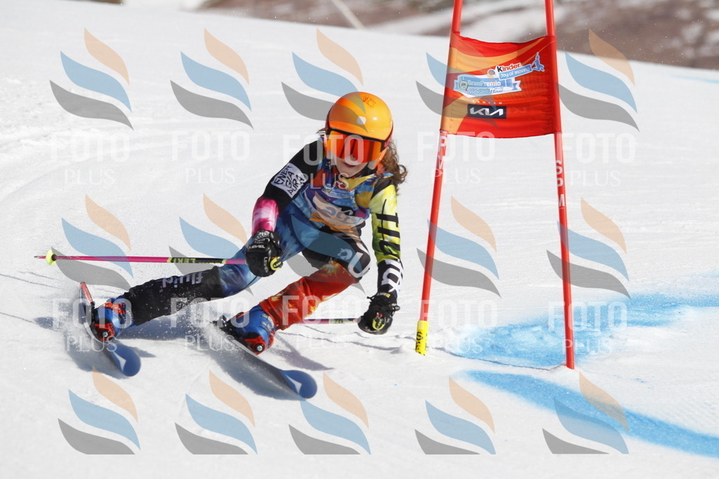 _U3G9021 | holidayphoto