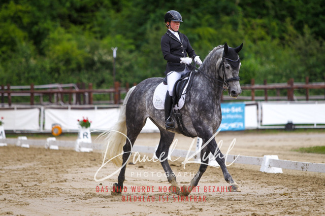 DKP47319 | Turniersportfotografie; Pferdefotografie; Dressurfotografie