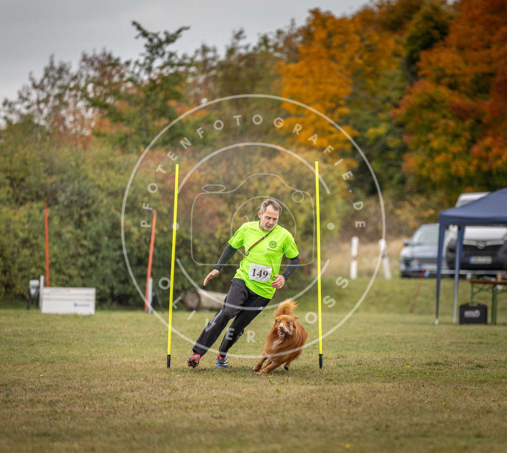 Pfotenfotografie_DV3A6318 | Hundefotografie, Tierfotograf, Pfotenfotografie, Fotoshooting Hund, Hunde Portrait, Hundesport, Hundeportraits, Heideshooting, Hunde, Sportfotograf, Hundefotograf, Turnierhundsport, THS,  - Realisiert mit Pictrs.com
