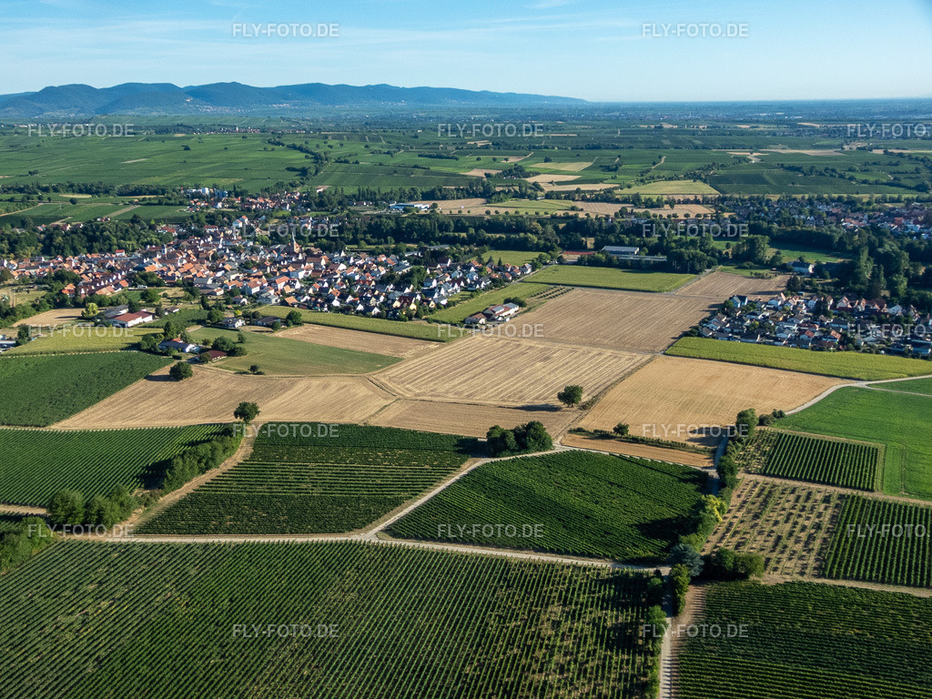 Ortsansicht von Süden | Luftbild: Ortsansicht von Süden im Ortsteil Ingenheim in Billigheim-Ingenheim im Bundesland Rheinland-Pfalz in Deutschland. Foto: P8080028.jpg vom 08.08.2022 durch ©2025 Werner Riehm fly-foto.de/copyright - Realisiert mit Pictrs.com