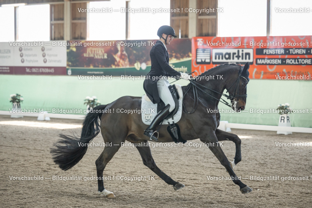 _D5A9263 | Emotionale Pferde- & People-Fotografie rund um Heidelberg, Leimen & Umgebung. Natürliche Fotos von Pferd, Mensch & Familie. Jetzt Termin sichern!