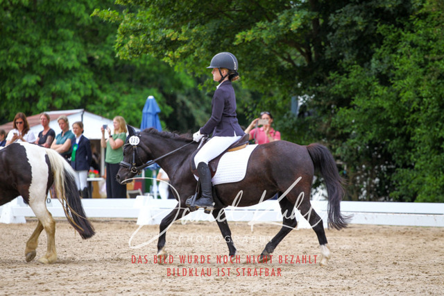 DKP46278 | Turnierfotos kaufen im Webshop von Daniel Kuhl Photography – entdecke professionelle Reitsportfotos aus Turnieren & Events. Hochwertige Turnierbilder online bestellen & sichern. Jetzt Fotos von Reitsportturnieren kaufen!