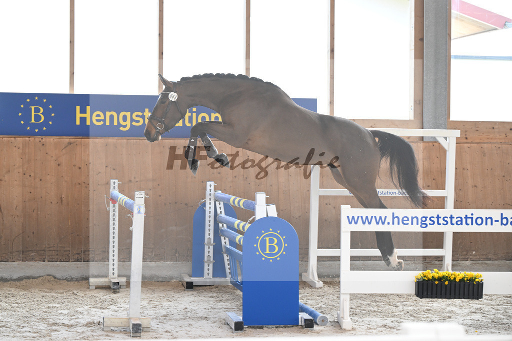 Kat-Nr. 63 Kelly du Tillard v. Aganix Du Seigneur_Keitel_14260380 | hf-fotografie - Realizzato con Pictrs.com