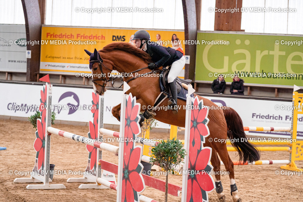 Kranichstein Tag 3-583 | dv-media-shop - Realisiert mit Pictrs.com