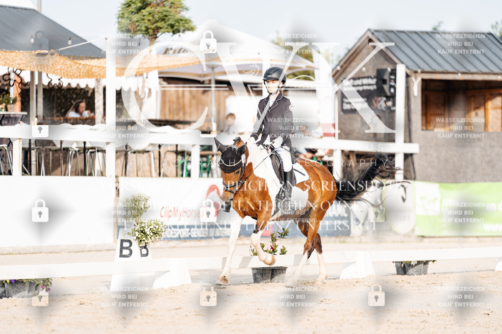 CK903971 | Turnierfotografie Pferdefotografie Trier Rheinland-Pfalz Pferdesport Reitsport Tierfotografie Sportfotografie Pferdevideo Pferdevideografie Equestrianvideography equestrianphotography  - Realisiert mit Pictrs.com