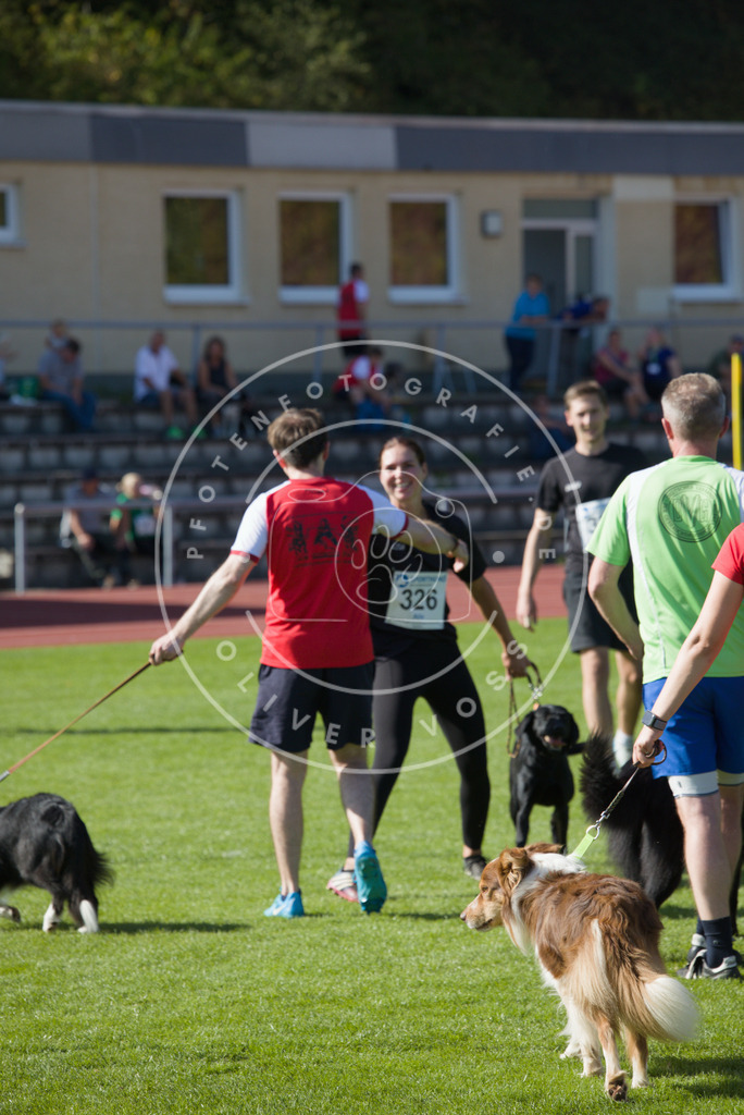 0L8A8835 | Hundefotografie, Tierfotograf, Pfotenfotografie, Fotoshooting Hund, Hunde Portrait, Hundesport, Hundeportraits, Heideshooting, Hunde, Sportfotograf, Hundefotograf, Turnierhundsport, THS,  - Realisiert mit Pictrs.com