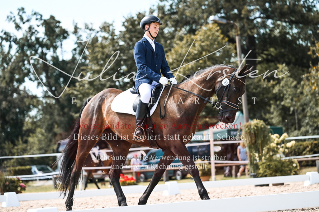 DSC_5424 | Pferde- und Turnierfotografie in Westsachsen. Pferdeportraits, Auftragszeichnungen und intuitive Kunst.
