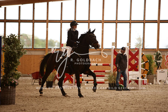 1J2A3588Anne Neumann_ Pokerface 40_ Kn425_ Hohen Wieschendorf_ Glantz | Foto- und Videografie für alles rund ums Pferd. Hochwertige Bilder und Videos vom Spring- und Dressurreiten, Voltigieren & mehr. Jetzt aktuelle Veranstaltungen und Preise im Shop ansehen. - Realisiert mit Pictrs.com