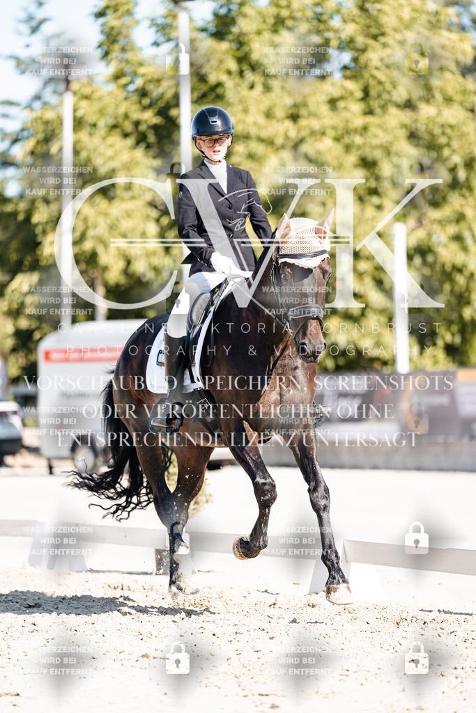 CK908489 | Turnierfotografie Pferdefotografie Trier Rheinland-Pfalz Pferdesport Reitsport Tierfotografie Sportfotografie Pferdevideo Pferdevideografie Equestrianvideography equestrianphotography  - Realisiert mit Pictrs.com