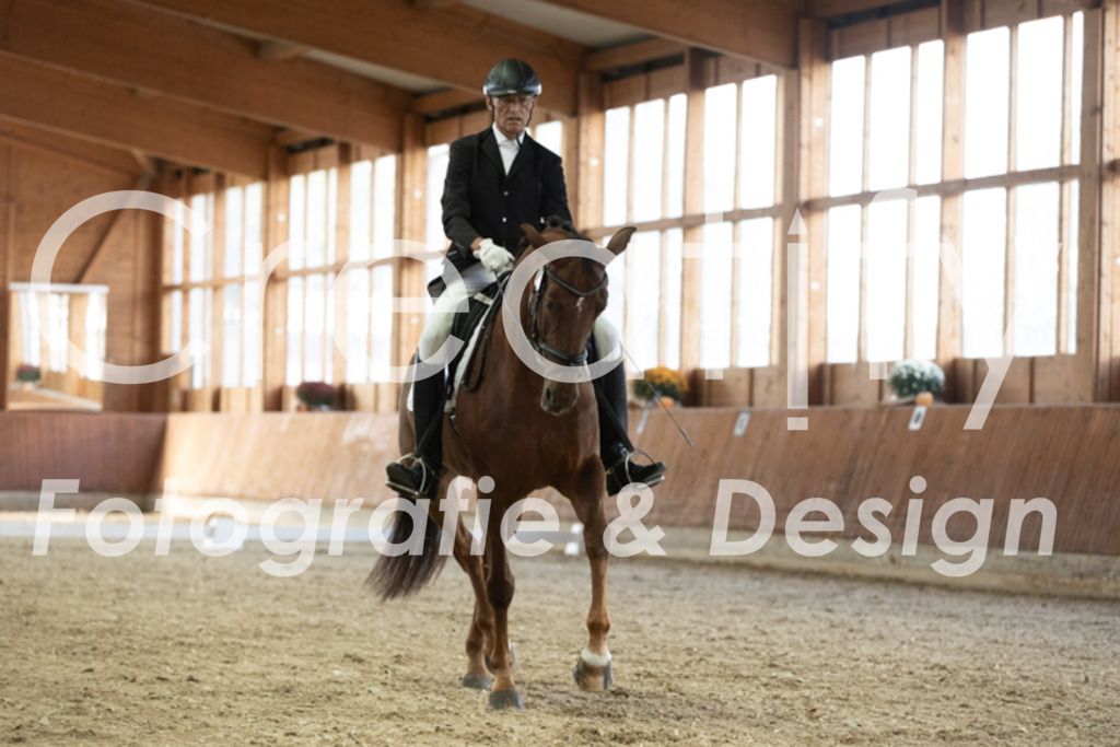 IMG_2534 | Creatify Fotografie