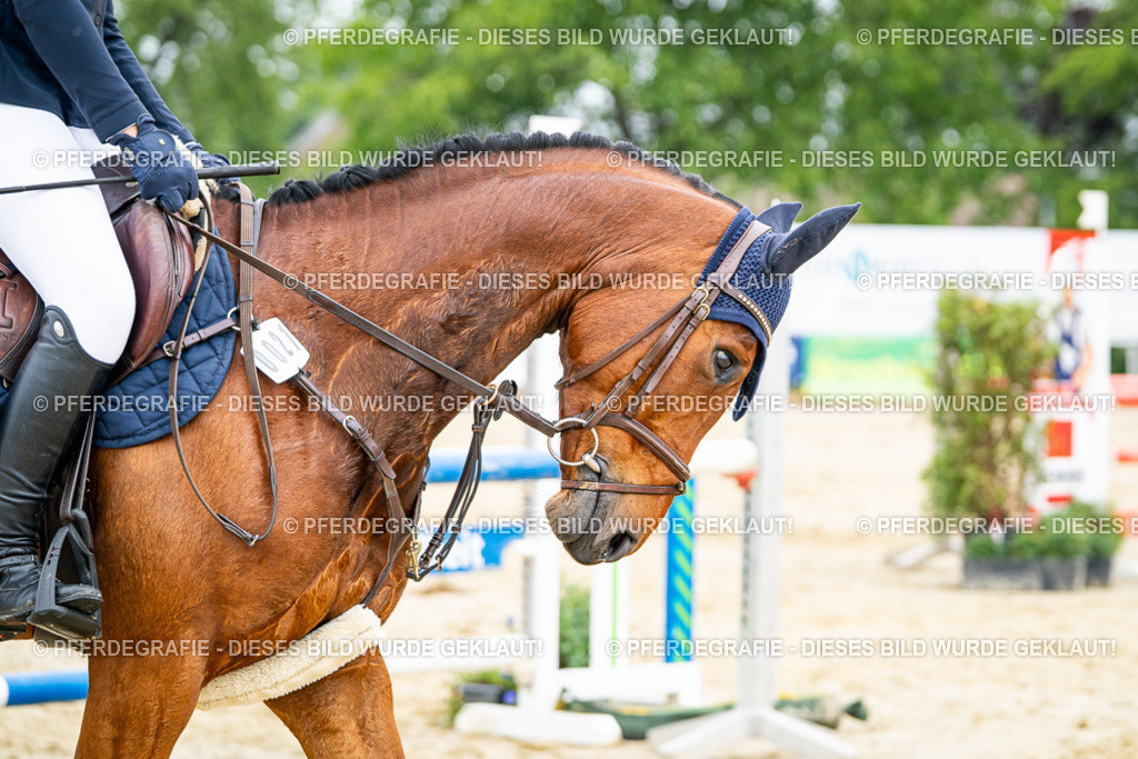 DSC09946 | Pferdegrafie