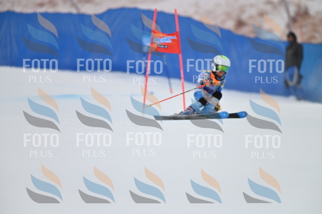 BGV_1519 | holidayphoto