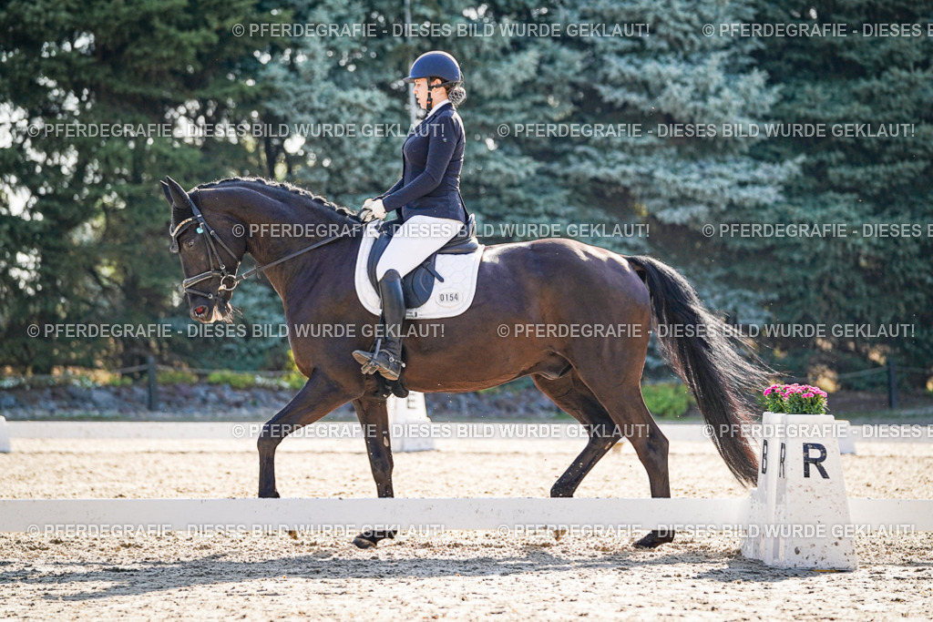 DSC09475 | Pferdegrafie