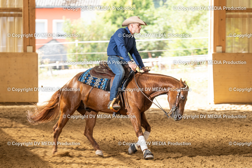 LAU01595 | dv-media-shop - Realisiert mit Pictrs.com