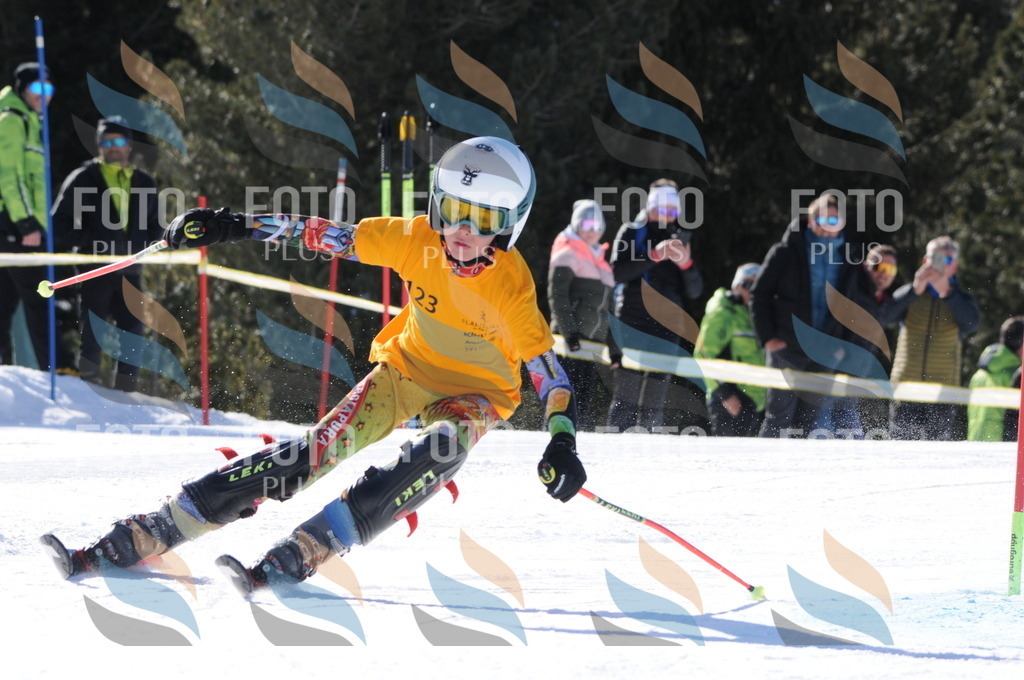 C7179 | holidayphoto