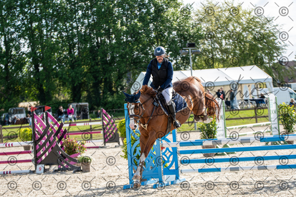 KPT_4641 | andre_photographic