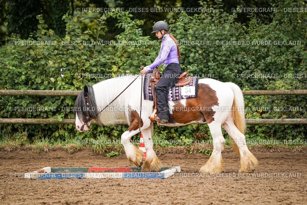 DSC03416 | Pferdegrafie