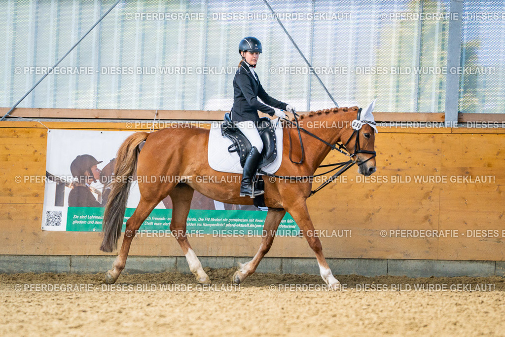 DSC02896 | Pferdegrafie