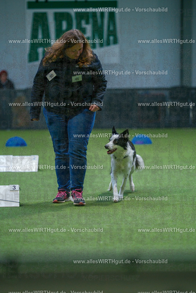 7R501390 | Professionelle Tierfotografie in Mönchengladbach von Daniel Wirth (allesWIRTHgut). Liebevolle & natürliche Bilder von Hunden & Katzen für unvergessliche Erinnerungen.