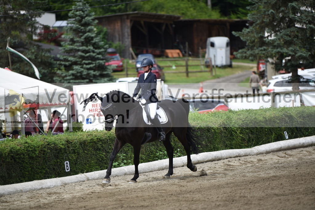 DSC_3950 | equestrian-live-com